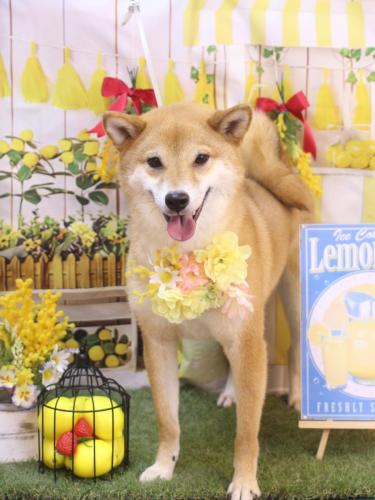 20240412シュウくん